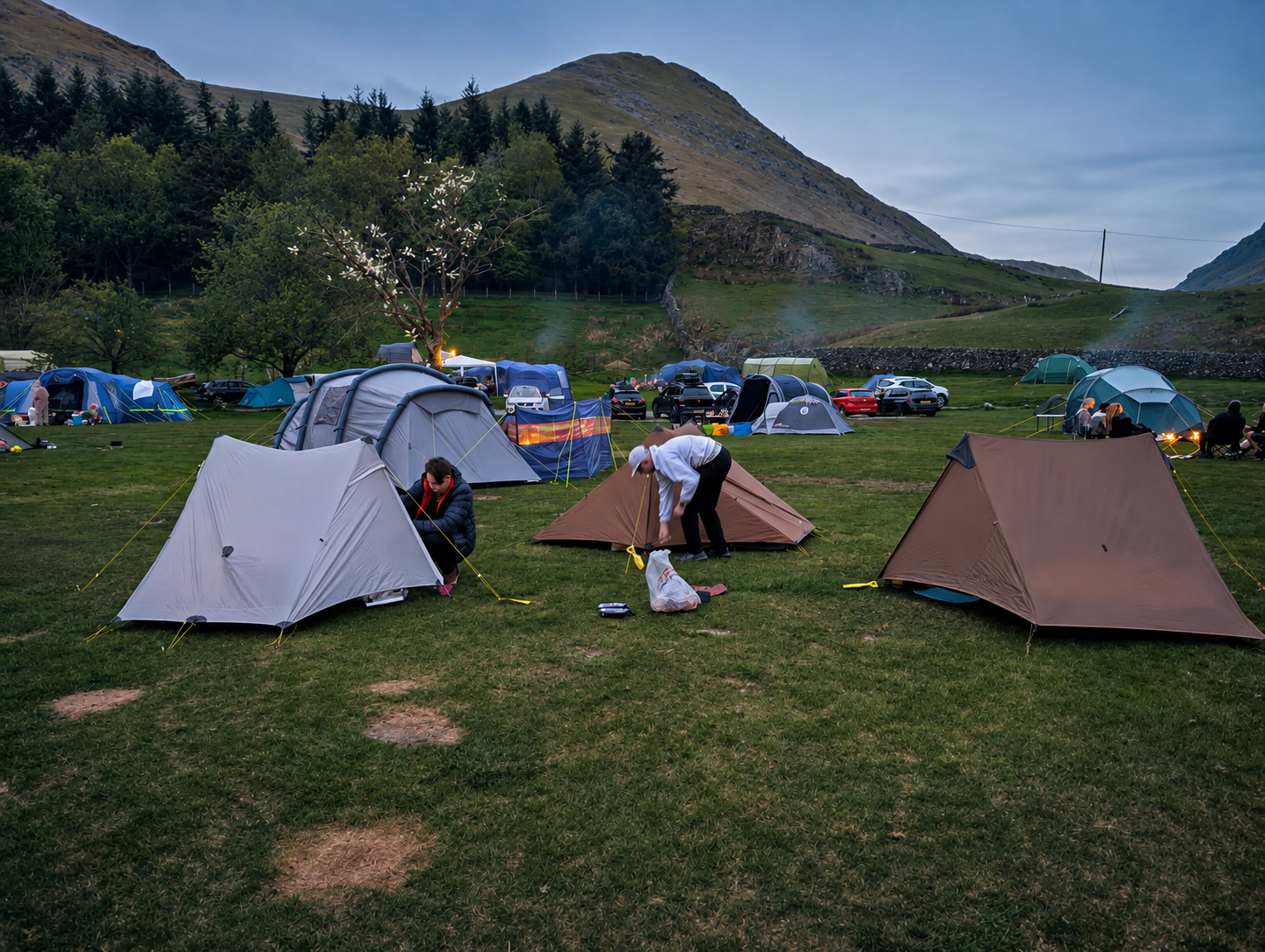 Family tents being pitched at dusk in a Lake District valley campsite, with fells and dry stone walls in the background