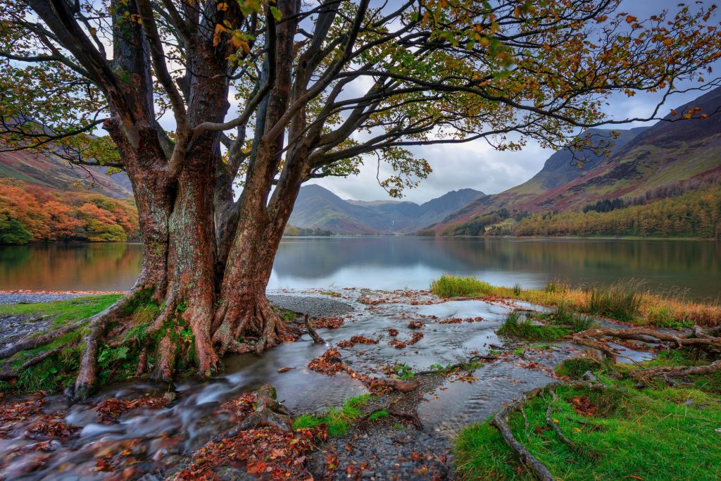 Buttermere lakeshore walking path in the Lake District