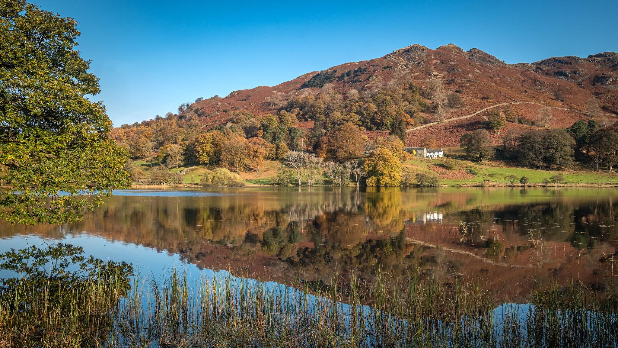 Loughrigg Fell Walk Guide (Route, Map & Tips)