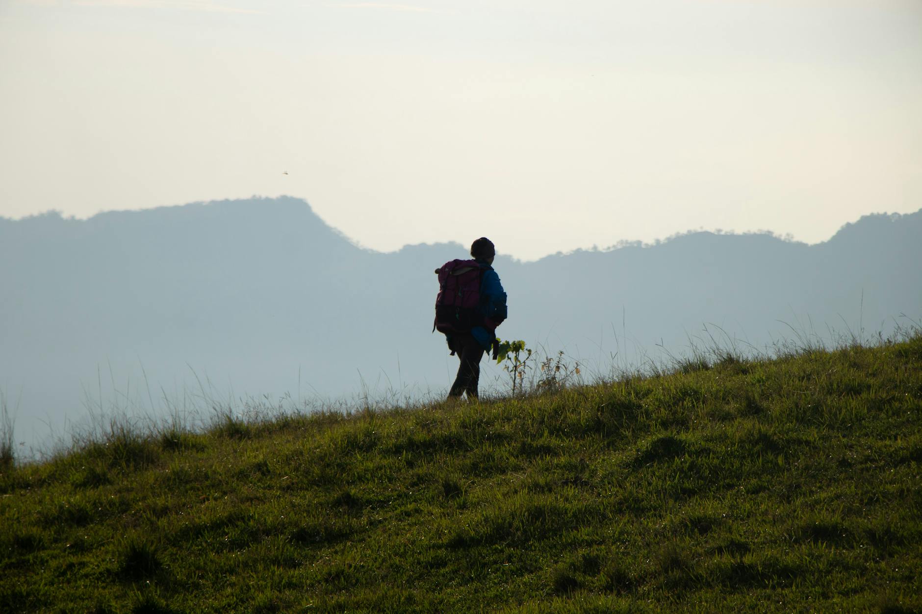 How Far Should Beginners Hike? (A Simple Guide for Your First Walk)