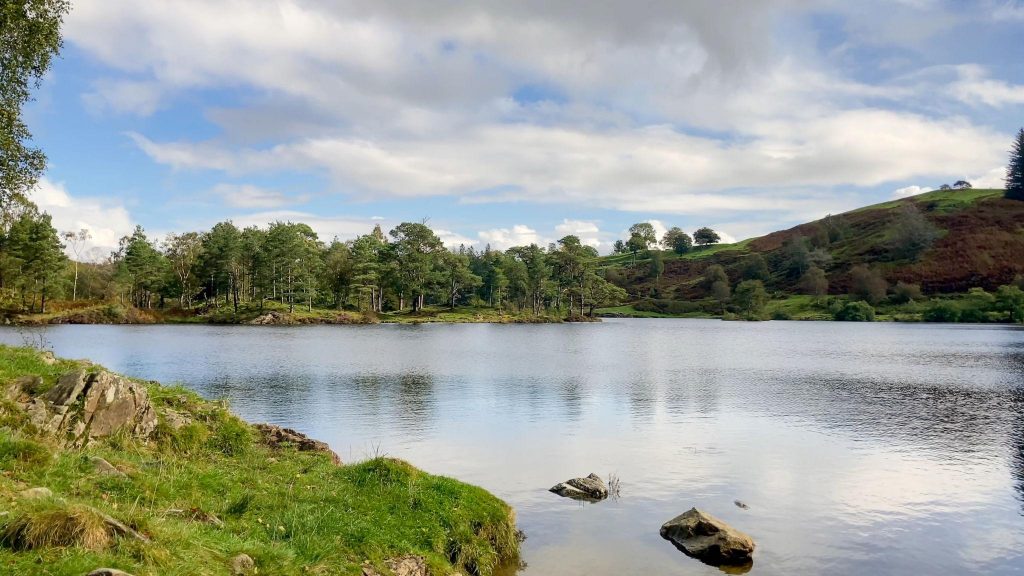 Tarn Hows circular walk in the Lake District