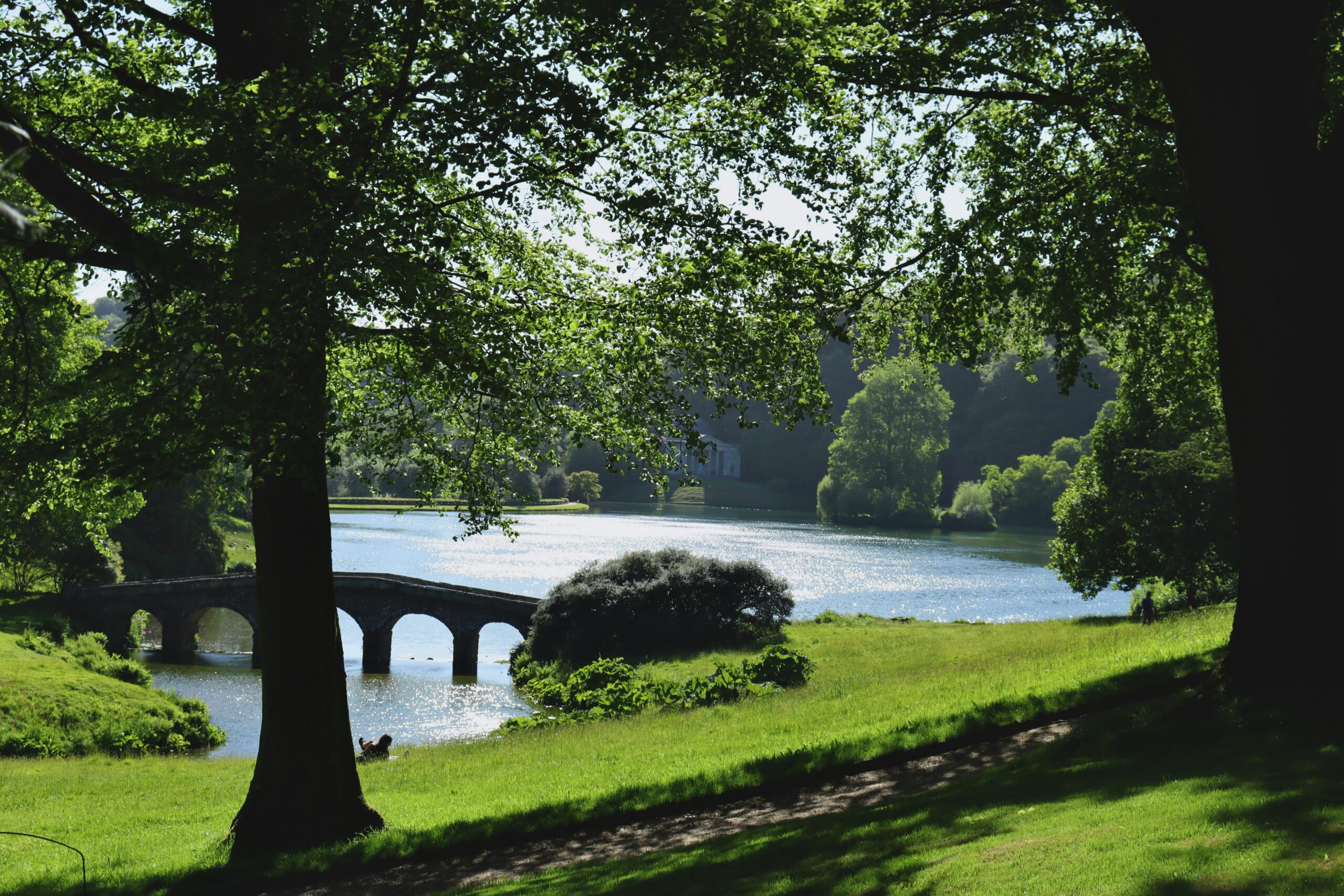 Tree-framed lake and stone bridge in the British countryside